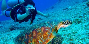 diver with turtle