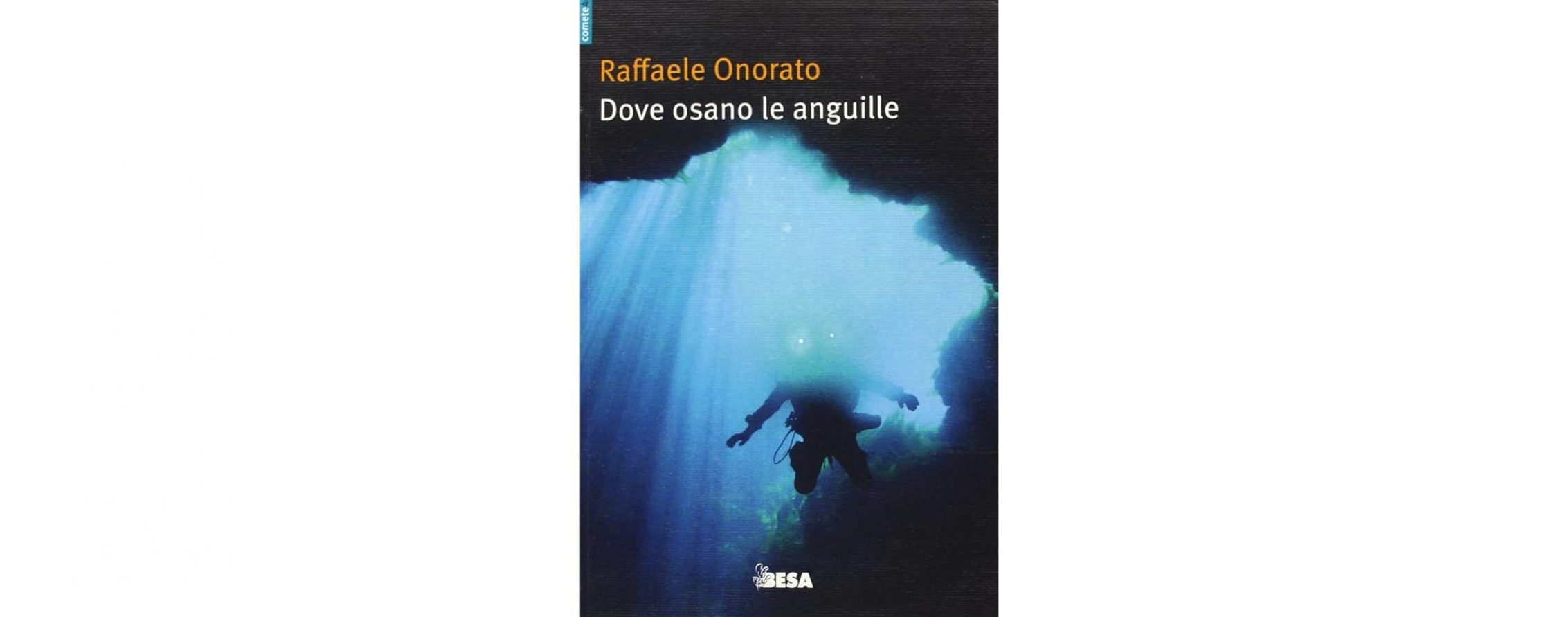 Dove osano le anguille di Raffaele Onorato