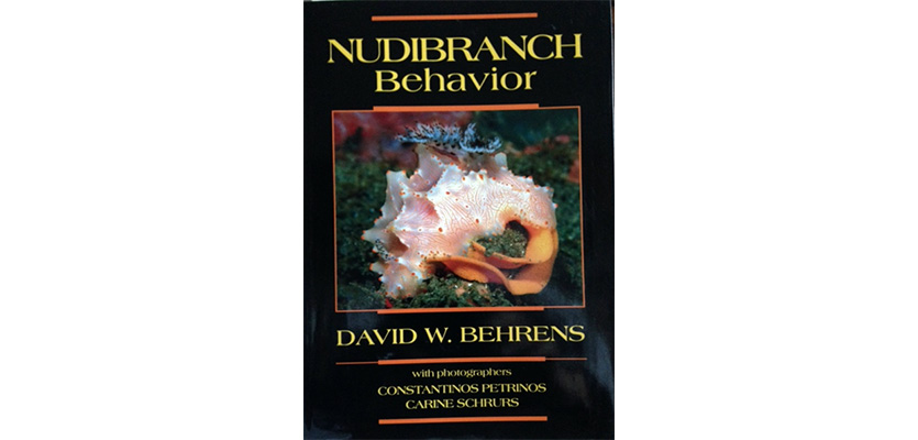 Nudibranch behaviour